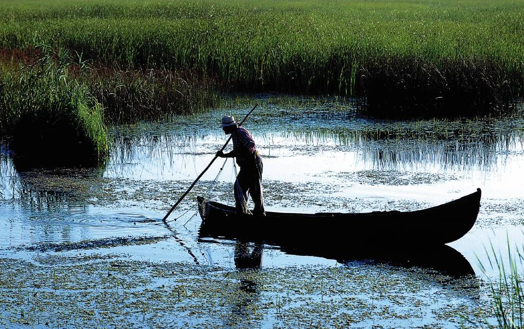 Guvernatorul a interzis pescuitul la setca in Delta Dunarii!
